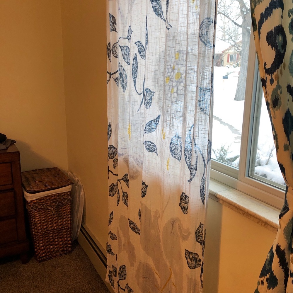 Anthropologie Floral Curtains